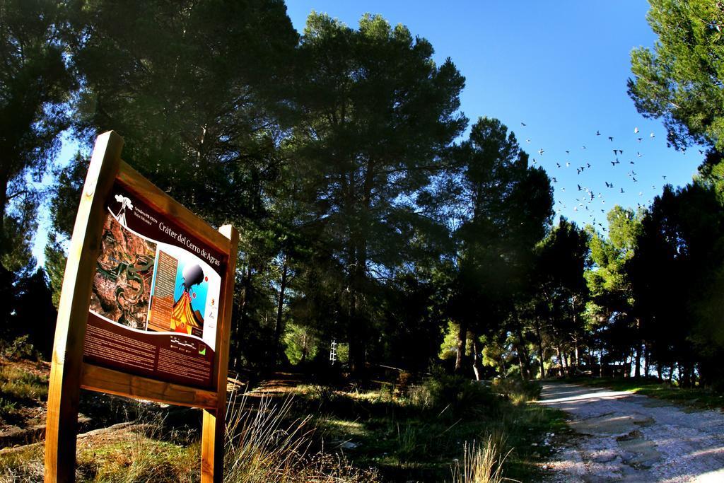 Balneario De Cofrentes Hotel ภายนอก รูปภาพ